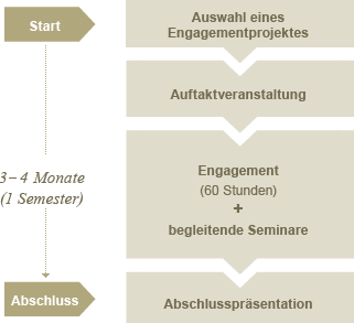 Schematischer Ablauf von International Engagiert Studiert